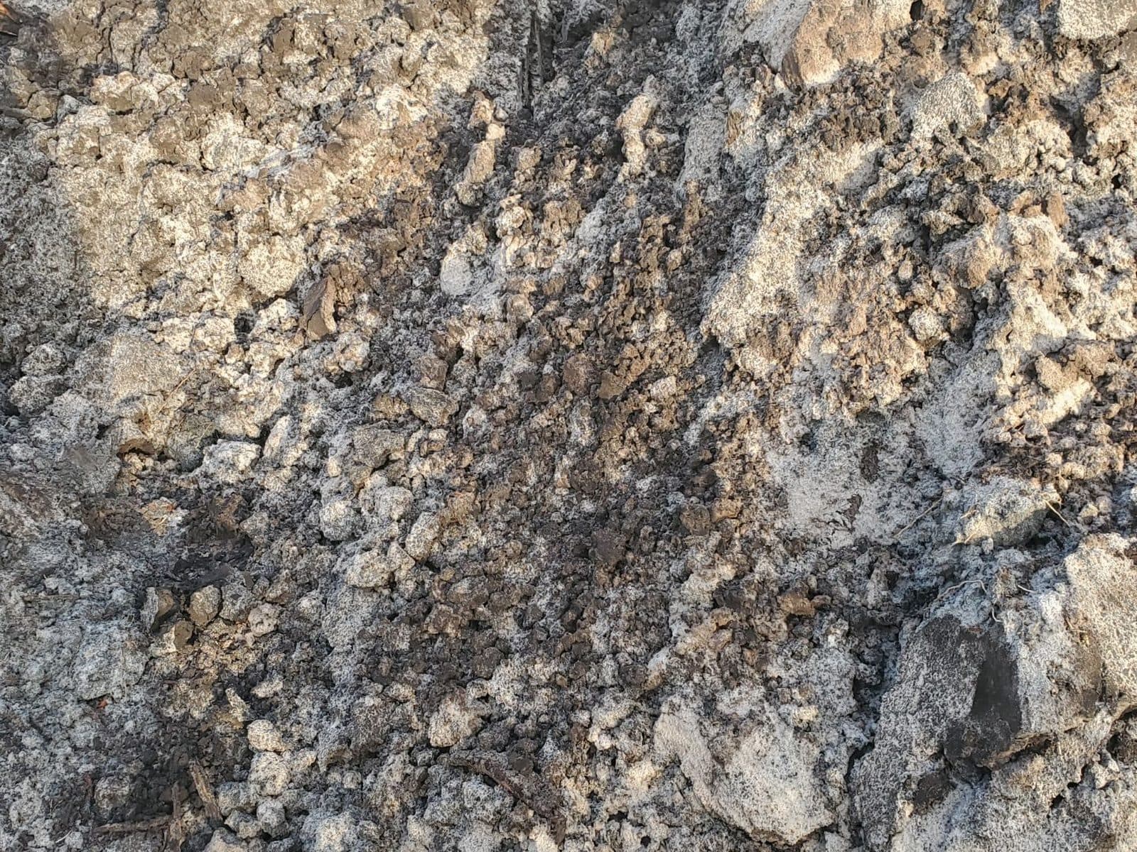 Fill Dirt
